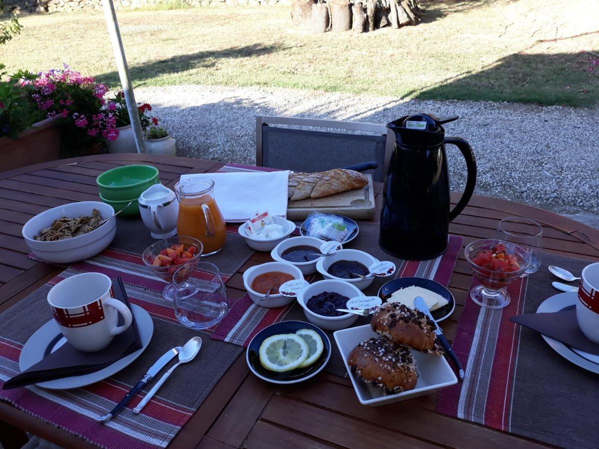 Bed and Breakfast Chez Yvette , C'Est Chouette!! Каркассон Экстерьер фото